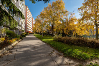 1-izbový byt s výhľadom na mesto | Košice - Furča - 13