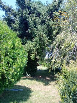 3-izbový RD s príjemnou záhradou - 13
