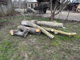 Na predaj drevo Orech a Jabloň - 13
