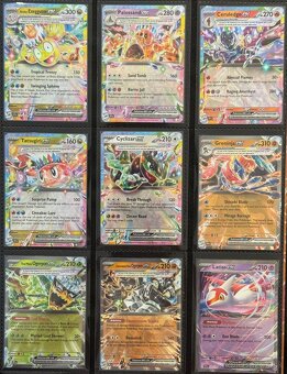 Pokemon TCG kusove karty - Ex-V-Pokeball-Promo - 13