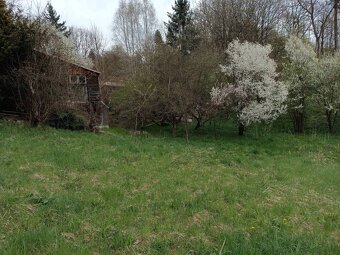 Na predaj rekreačná chata s pozemkom – Nová Baňa (záhradkárs - 13