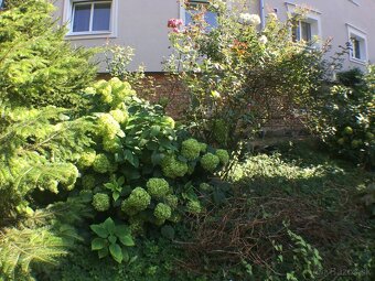 2izb.byt na predaj pri centre na Jilemnického - 13