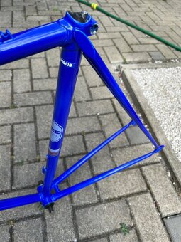 RAM favorit f1S. - 13