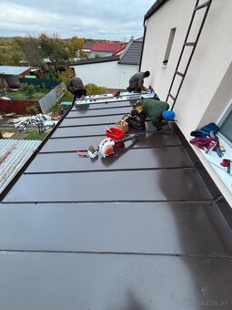 Stavba a rekonštrukcia striech a altánkov - 13
