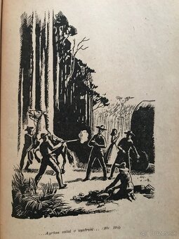 Július Verne Deti kapitána Granta, Walt Disney LUXUS Zvonár - 13