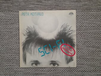 LP Vinyl platne - 13
