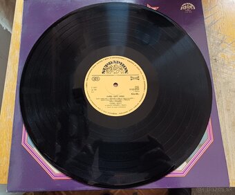 2ks platne Karel Gott - 13