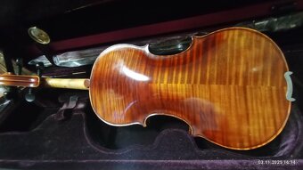 PROFESIONALNE HUSLE - 13