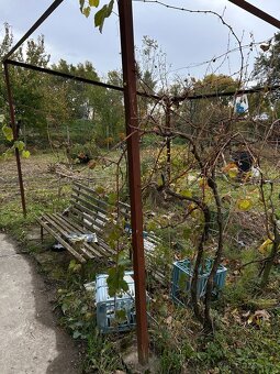 Záhrada vo Svätom Jure - 13