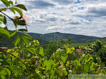 Dom na výnimočnom pozemku o rozlohe 15975m2 s prekrásnym v - 13