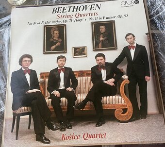 Vinylové platne - 13