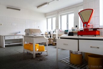 Obchodný priestor s veľkým pozemkom a bowlingom na predaj – - 13