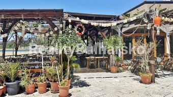 Prodej zařízeného apartmánu 2+kk s výhledem na moře Elenite - 13