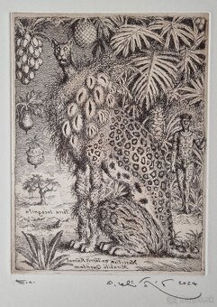 Peter Kľúčik - predám grafiky. - 13