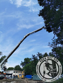 Pilenie a orezavanie stromov, kosenie a udrzba zahrad - 13