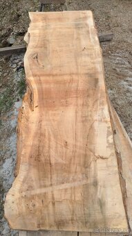 Brastové forsty - 13