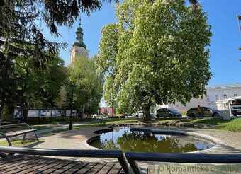 Vidiecky dom s krásnym pozemkom 1500 m2 v centre obce Vode - 13