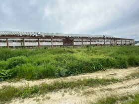 Hala s oceľovou konštrukciou 2878m2 , Rešica, sklad - výroba - 13