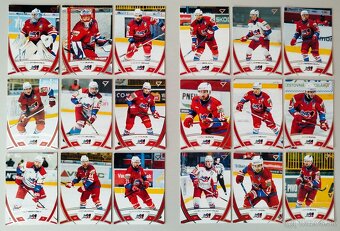 Hokejové kartičky TIPOS EXTRALIGA 2024/2025 - 1.séria ALBUM - 13