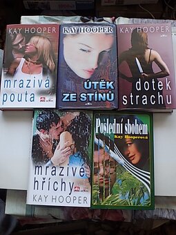 Detektívky -Gabaldon,Collins,Hooper,Reichs,Palov,Fern  a iný - 13