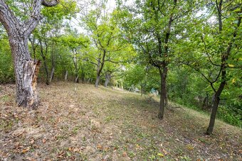 Na predaj útulný domček v obci Pányok - 13