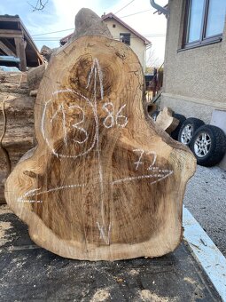 Brest priečny rez,kolač - 13