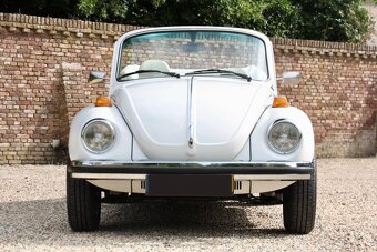Volkswagen Beetle - 13