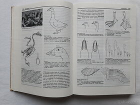Geniálne tipy a triky, Encyklopédia drobnochovateľa - 13