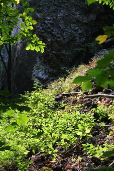 Digitálna zkradlovka Canon eon 1100D + EF-S 18-55mm DC III - 13