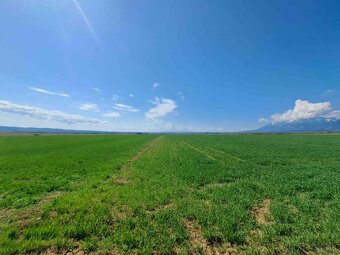 Podhorany – 8.227 m2 ORNÁ PÔDA v podiele 1/1 – Predaj - 13