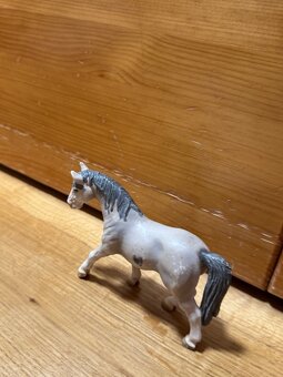 KONIKY( KUPTE SI NAS) - 13