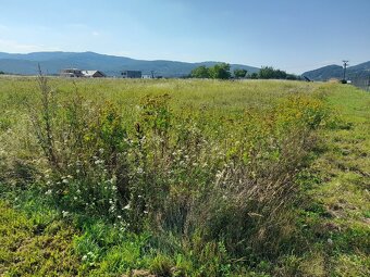 Kosenie,mulčovanie,čistenie pozemkov a záhrad - 13