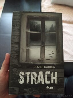 eldest, Dve sestry, BRISINGR A INE KNIHY - 13