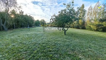 HALO reality - Predaj, rodinný dom Branovo, štvorizbový, kom - 13