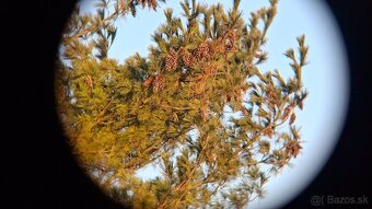 Ďalekohľad BPC 10X50 TENTO - 13