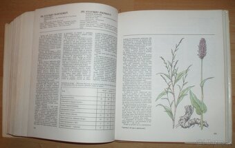 Atlas Liečivých rastlín a lesných plodov - 13