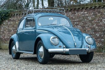 Volkswagen Beetle - 13