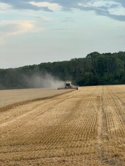 Slama pre ŽV, záhradu a na ďalšie iné využitie - 13