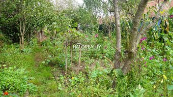 HALO reality - Predaj, rodinný dom Borský Mikuláš - EXKLUZÍV - 13