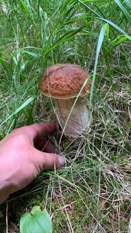 Krásna záhradná chata priamo pri potoku Belá na Liptove - 13