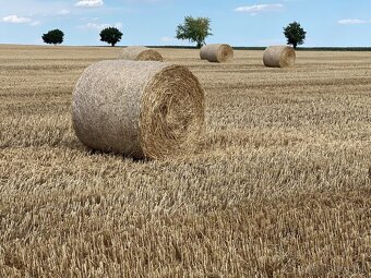 Slama na predaj - 13