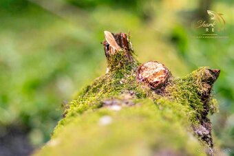 Pozemok v lone prírody s potôčikom– ideálny pre vašu vysníva - 13