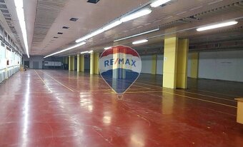 Priemyselný areal 51000m2, Budovy, sklady, výrobné haly,  Sn - 13