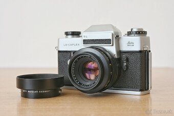 Leicaflex SL / Summicron 50mm f2 (2-CAM) - 13