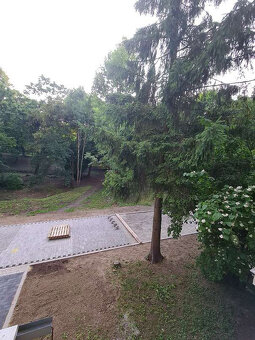 3- izbový v Radvani na Radvanskej ulici (zvolenský typ) - 13