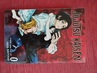 Manga - 13