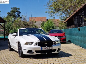 Mustang Facelift Convertible - 13