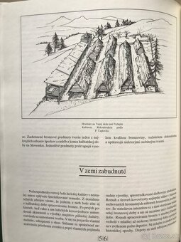 Dejiny Slovenska, Rebelanti  a Suplikanti, Techniky maľby - 13