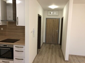 Prenájom 1 izbovy byt - 13