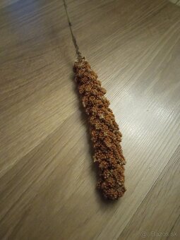 Vtáčia klietka pre andulky a kanáriky - 13